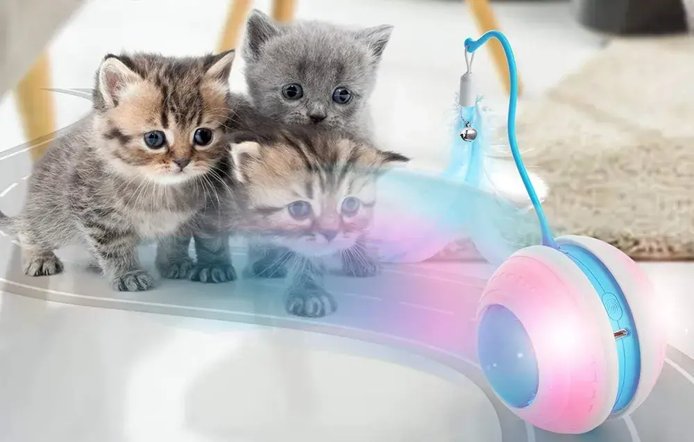 Interaktywna pilka dla kota Petwant MDE1600