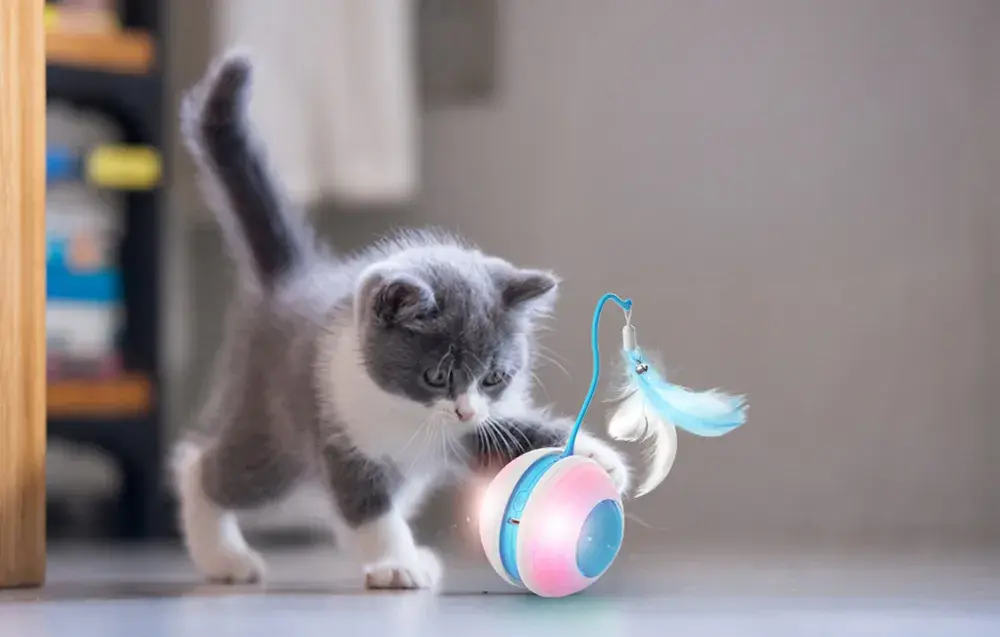 Interaktywna pilka dla kota Petwant MDE1600