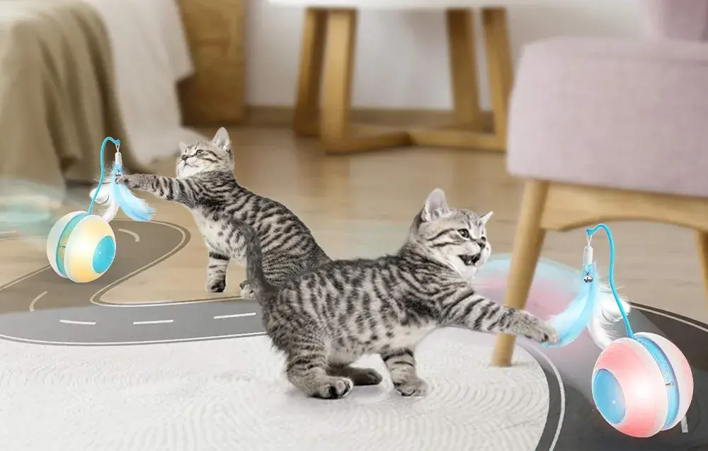 Interaktywna pilka dla kota Petwant MDE1600