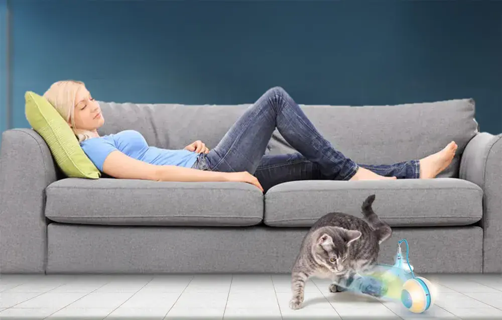 Interaktywna pilka dla kota Petwant MDE1600