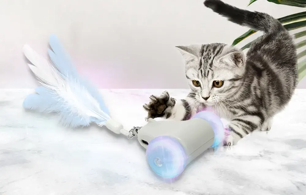 Zabawka dla kota Racing Chase Petwant MDE2800