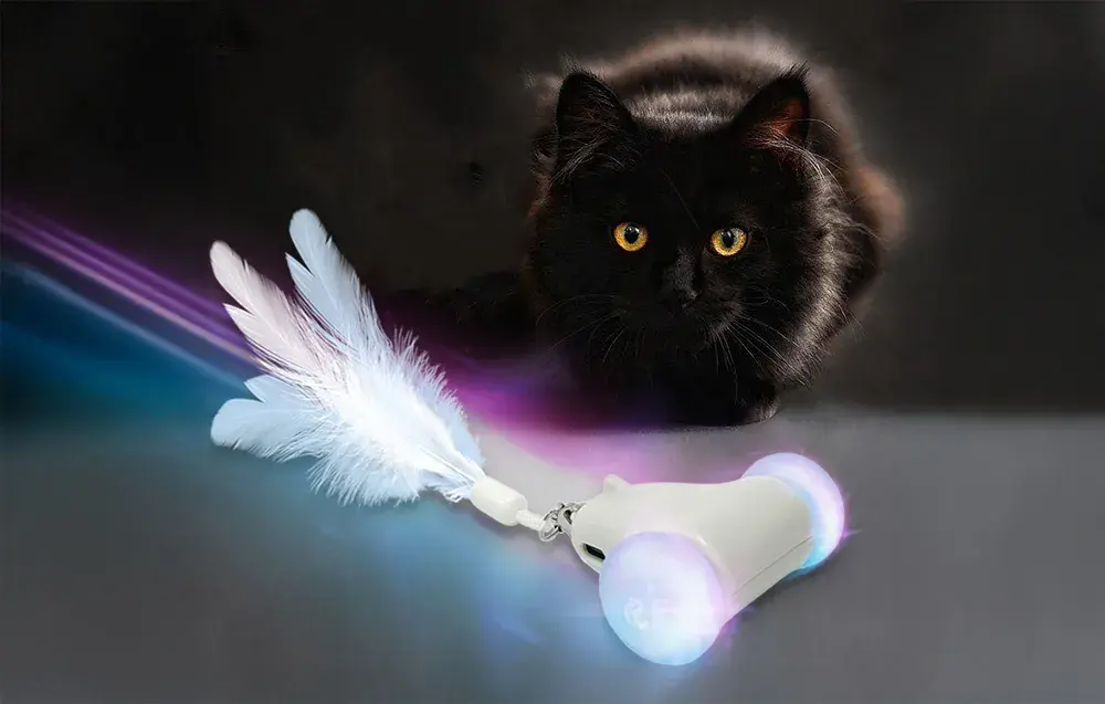 Zabawka dla kota Racing Chase Petwant MDE2800