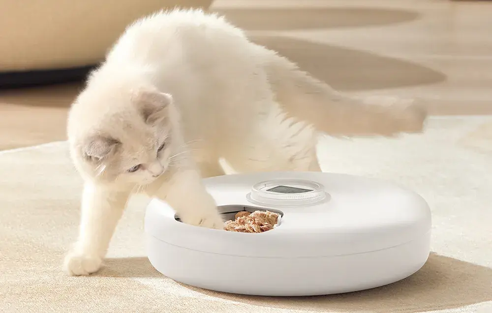 Automatyczny karmnik Rojeco 2L Cat Feeder Button Version