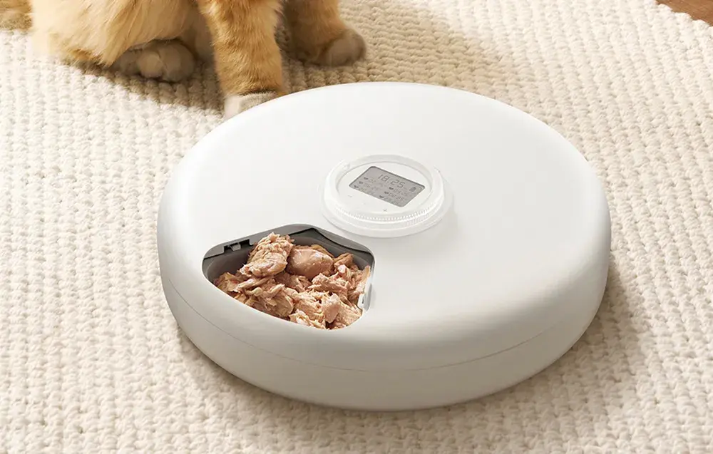 Automatyczny karmnik Rojeco 2L Cat Feeder Button Version
